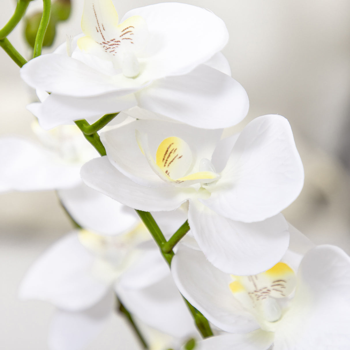 immagine-8-easycomfort-easycomfort-orchidea-finta-in-vaso-alta-75cm-per-interno-ed-esterno-bianco