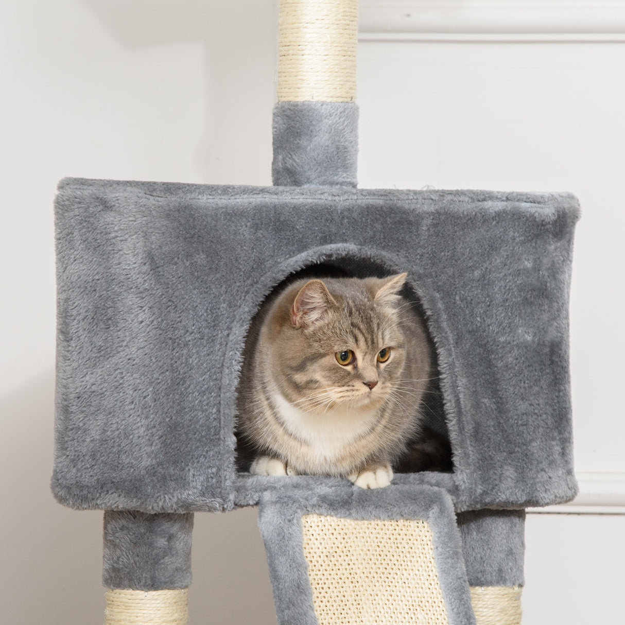 immagine-8-easycomfort-easycomfort-tiragraffi-ad-albero-per-gatti-fino-5-kg-rivestimento-corda-sisal-e-peluche-con-cuccia-grigio-40x40x98cm-ean-8054111843218