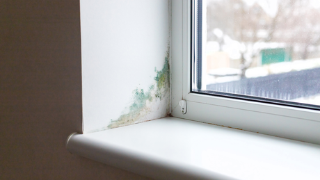 Come prevenire condense, muffe e aria fredda: consigli pratici per l’inverno