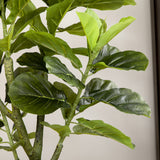 easycomfort pianta artificiale di ficus da 150 cm a 75 foglie e 4 rami con vaso o15x12.5 cm per interni ed esterni verde