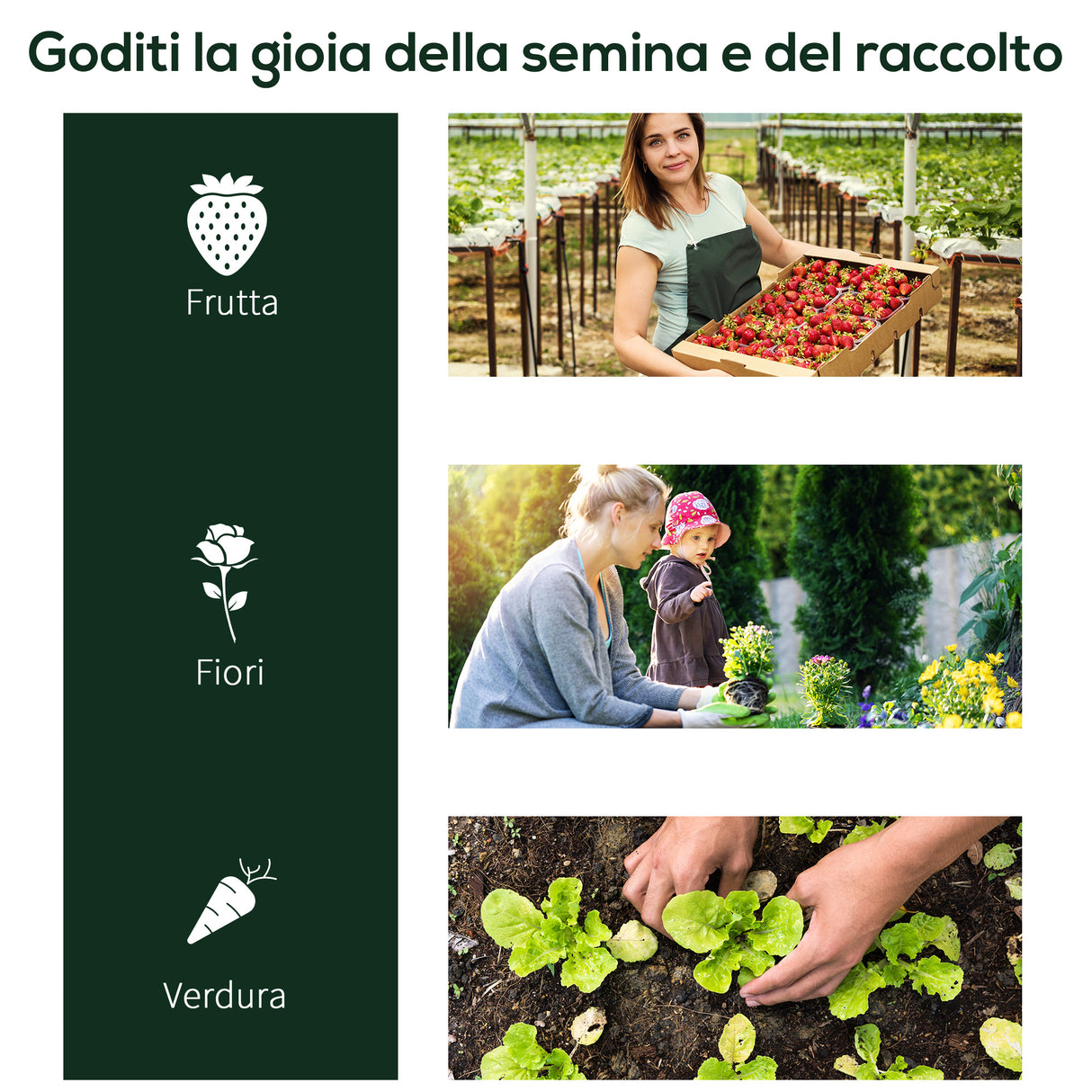 easycomfort oustunny serra da giardino con porte anteriori a cerniera in acciaio e pvc 250x100x80 cm