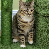 easycomfort tiragraffi per gatti con lettino casetta e palo in sisal a forma di cactus 68x30x67cm verde