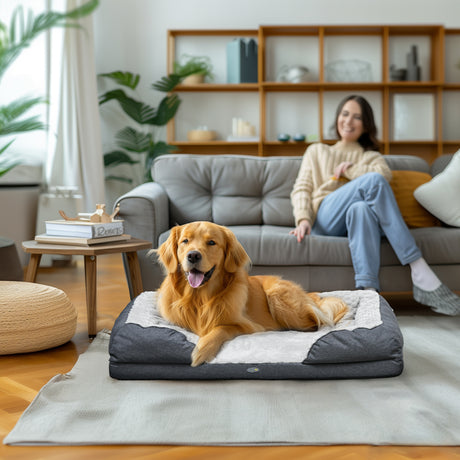 easycomfort easycomfort lettino per cani taglia grande imbottito con cuscino rimovibile lavabile 120x80x22cm grigio carbone