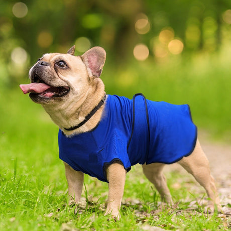 immagine-1-easycomfort-easycomfort-pettorina-per-cani-di-taglia-piccola-in-microfibra-traspirante-blu-ean-8054111840866
