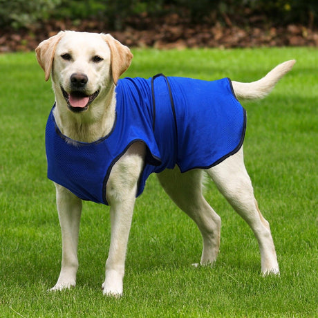 immagine-2-easycomfort-easycomfort-pettorina-rinfrescante-per-cani-in-microfibra-blu-chiusura-con-velcro-taglia-xl-70cm-ean-8054111847391