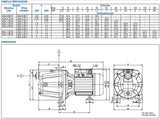 immagine-3-ebara-elettropompa-autodescante-in-ghisa-ebara-modello-aga-m-1-00-motore-monofase-1-0