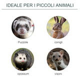 immagine-4-easycomfort-easycomfort-gabbia-trappola-per-animali-vivi-con-porta-singola-60x18x20cm-verde