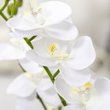 immagine-8-easycomfort-easycomfort-orchidea-finta-in-vaso-alta-75cm-per-interno-ed-esterno-bianco