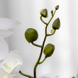 immagine-9-easycomfort-easycomfort-orchidea-finta-in-vaso-alta-75cm-per-interno-ed-esterno-bianco